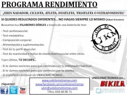 PROGRAMA RENDIMIENTO