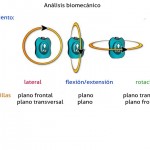 sensor bioval