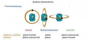 sensor bioval