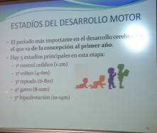 Desarrollo psicomotor